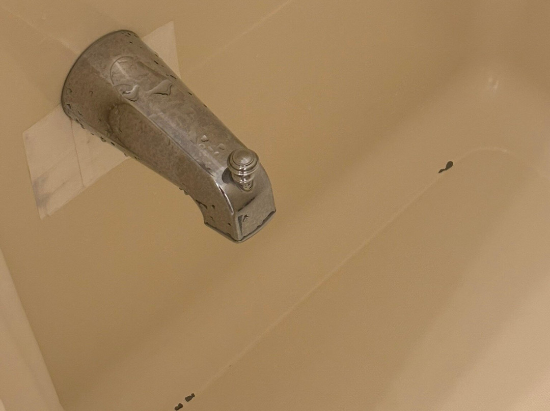 Cape Harbor Motor Inn主图