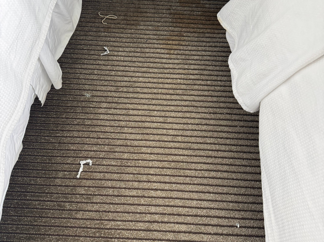 Hyatt Place Fort Lee / George Washington Bridge主图