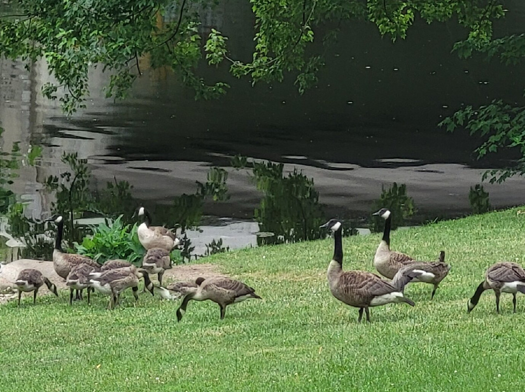 Oak Grove Cemetery-Coldwater必去景点