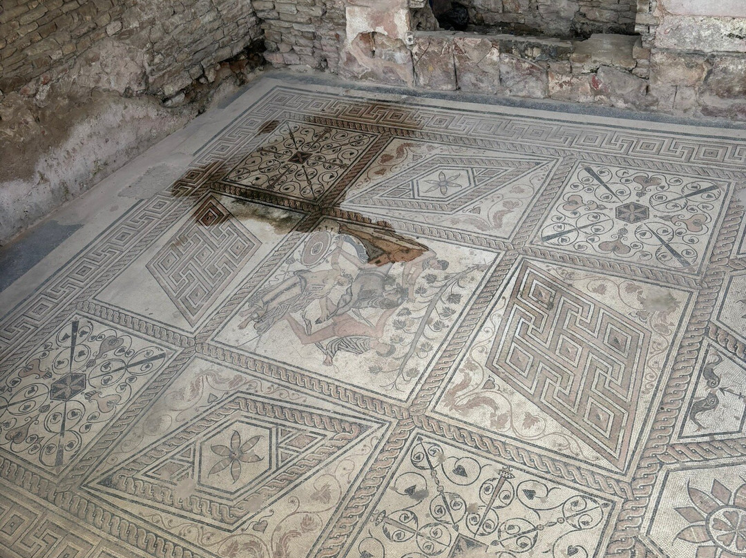 Floor mosaic The Punishment of Dirce-普拉必去景点