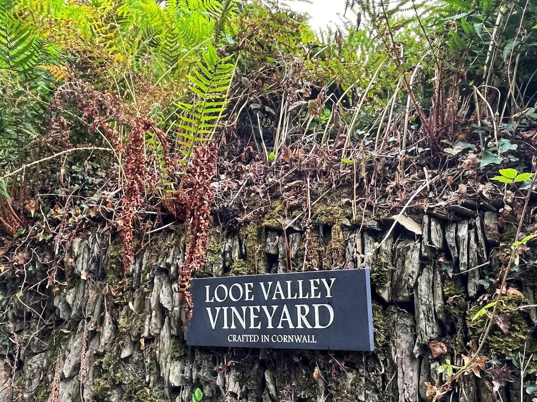 Looe Valley Vineyard-卢城必去景点