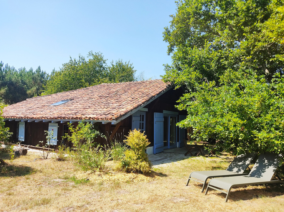 La Bergerie Saint Michel主图