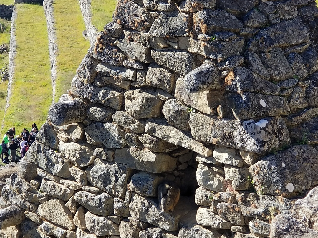 Perú Global Expeditions-库斯科必去景点