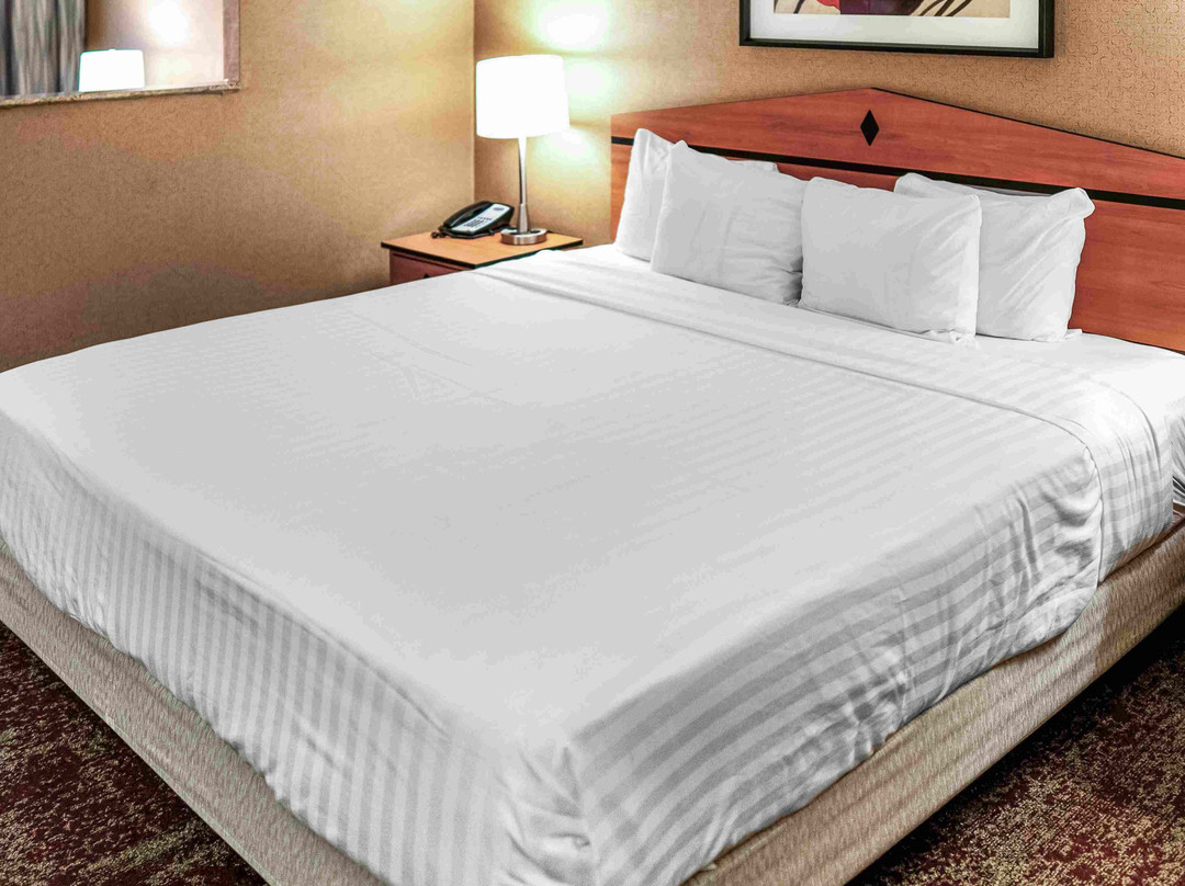 米德瓦利水晶套房酒店主图