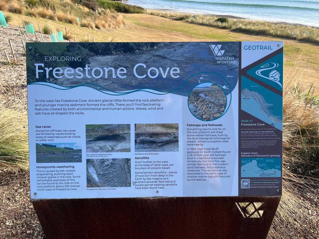 Fossil Bluff Lookout-温耶德必去景点