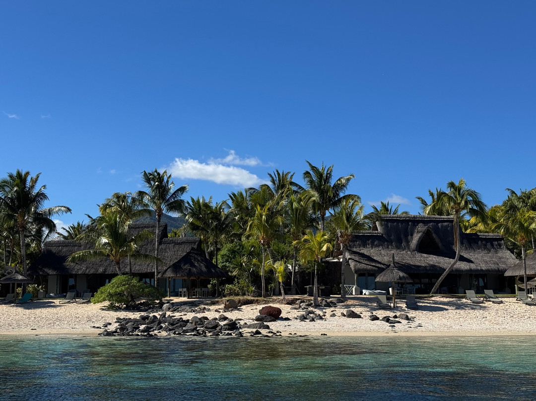 Fabulous View - Dodo Rasta-阿尔比恩必去景点