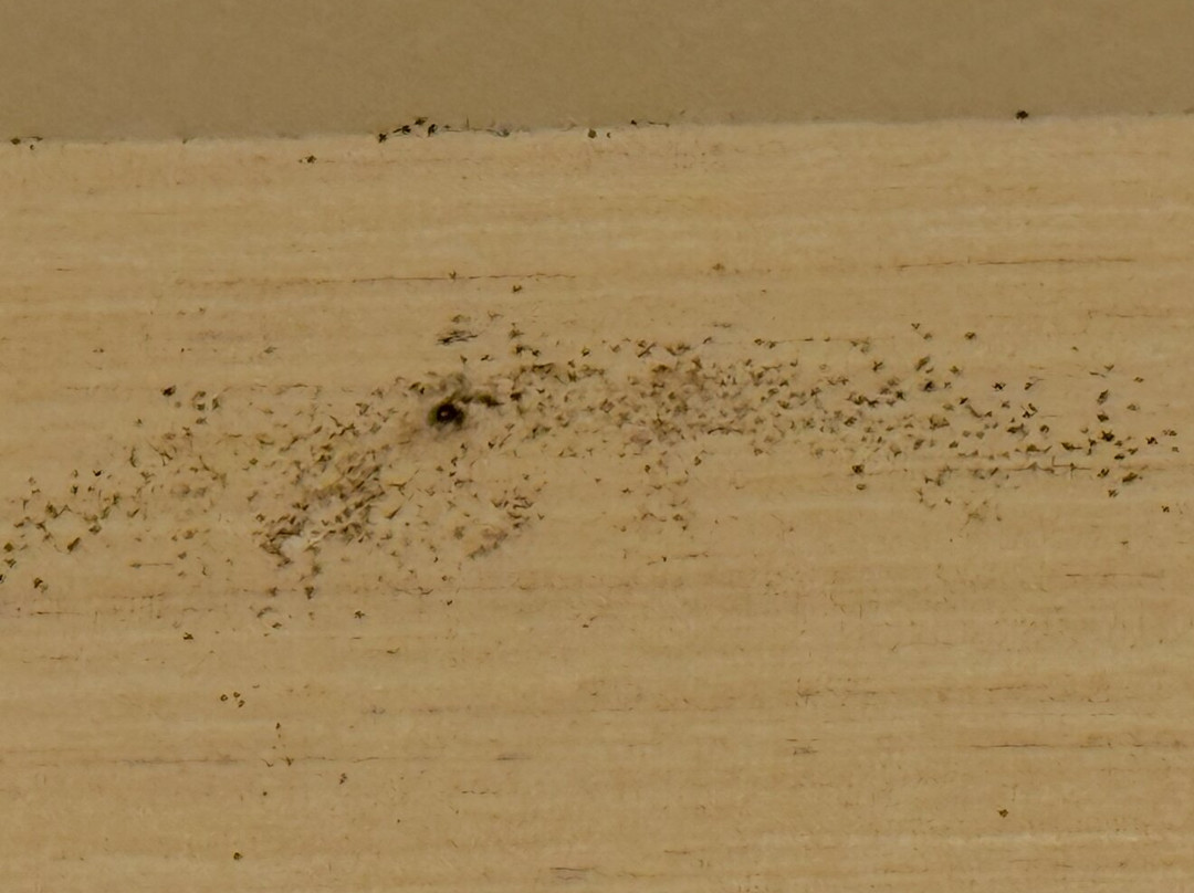 罗克斯普林斯希尔顿恒庭酒店主图