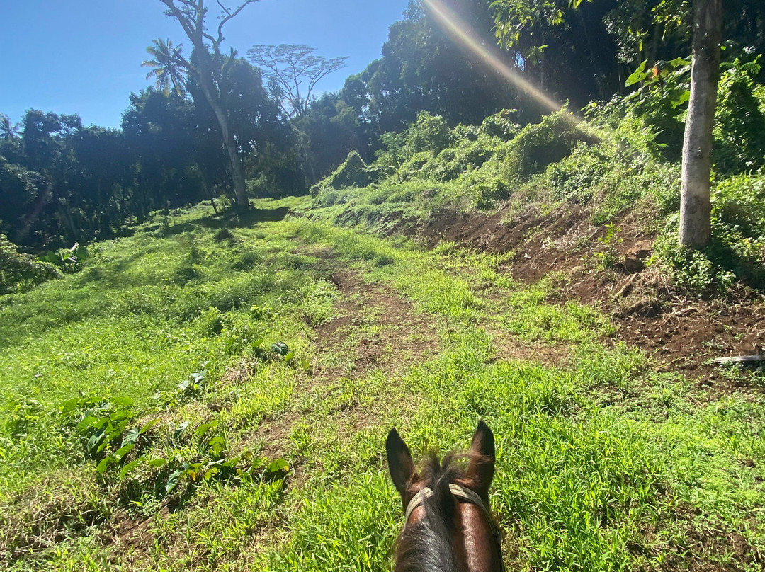 Cadichon Vallee-Uturoa必去景点