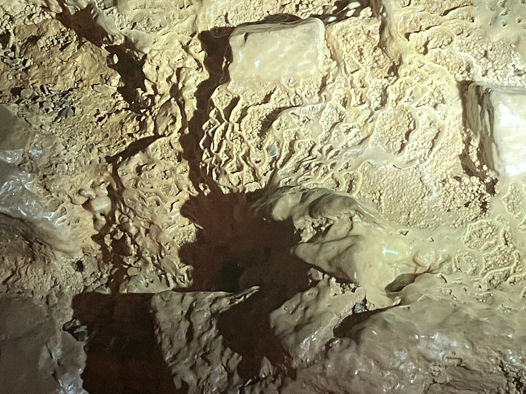 Woodward Cave and Campground-Woodward必去景点