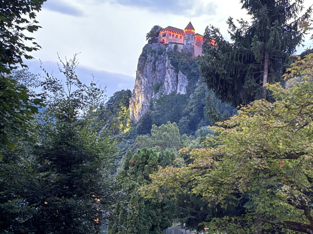 Vila Prešeren Bled主图