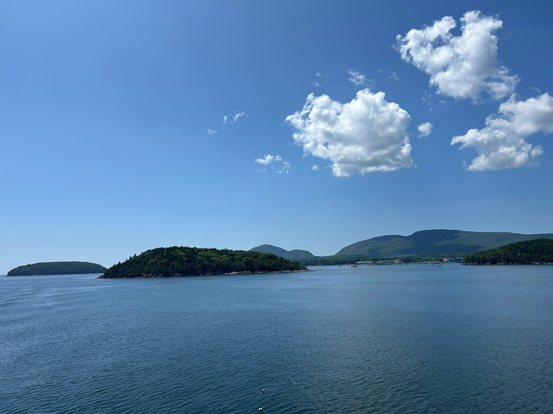 The CAT - Bay Ferries Limited-Yarmouth必去景点