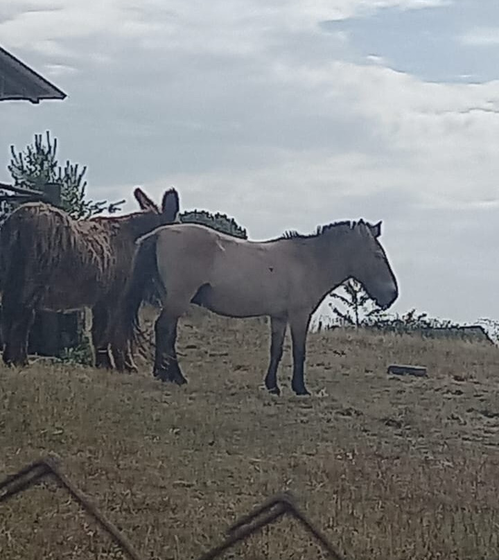 Le Parc Du Thot-Thonac必去景点