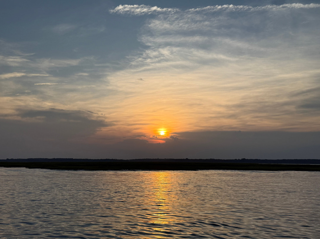 Salt Marsh Safari The Skimmer-Stone Harbor必去景点
