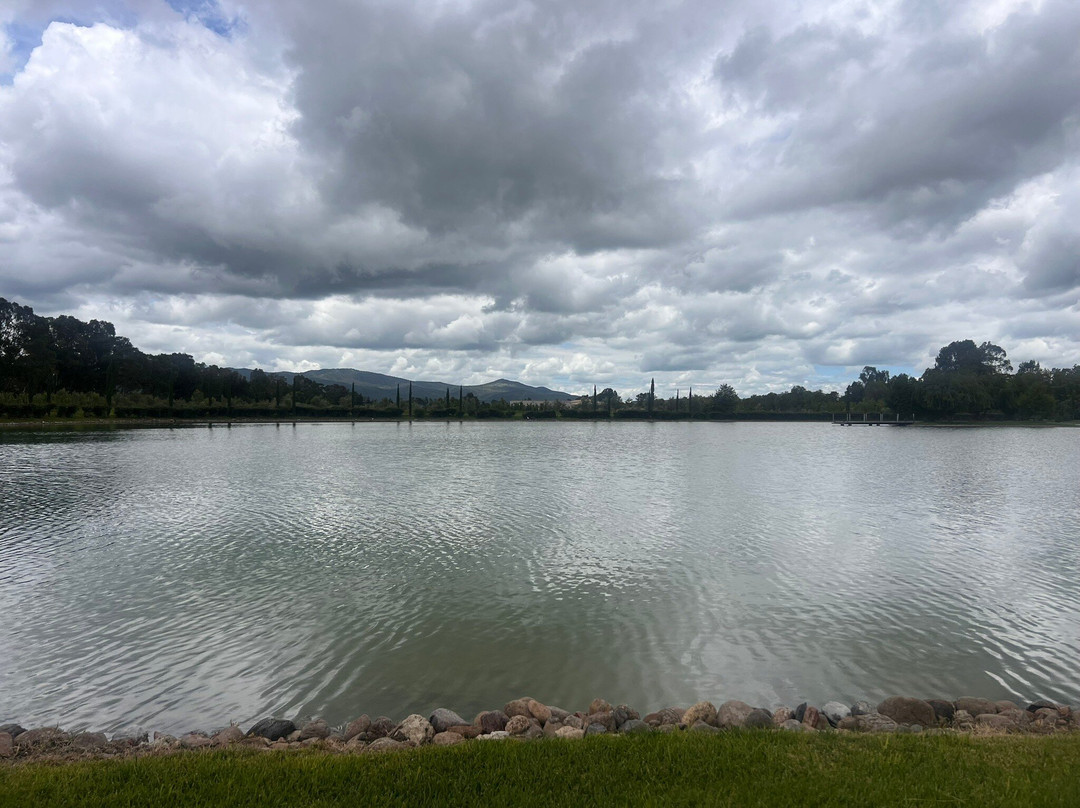 Viñedos Santa Catalina主图