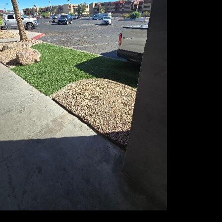 Quality Inn & Suites Lake Havasu City主图