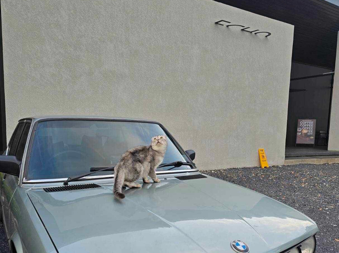 Echo Coffee Roastery