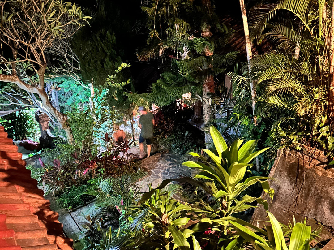 彭杜克旅游格亚纱丽酒店主图