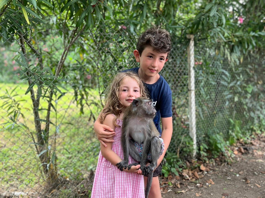 Shekvetili Dendrological Park-Shekhvetili必去景点