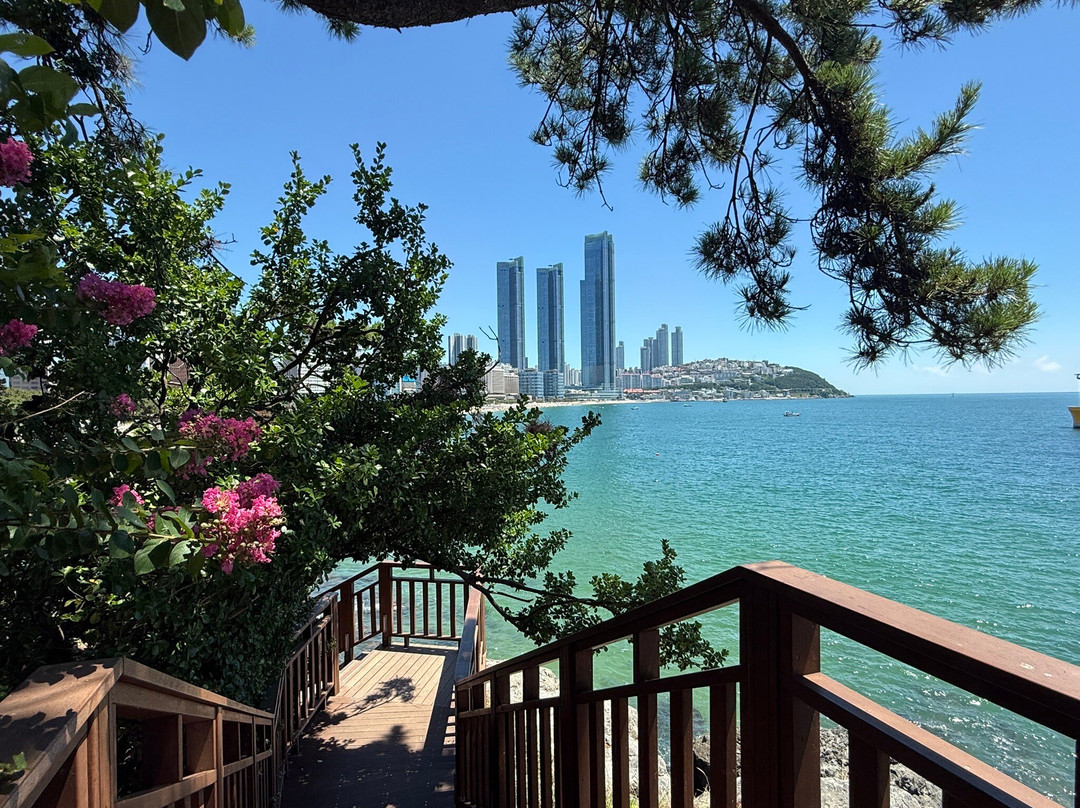 Dongbaekseom-釜山必去景点