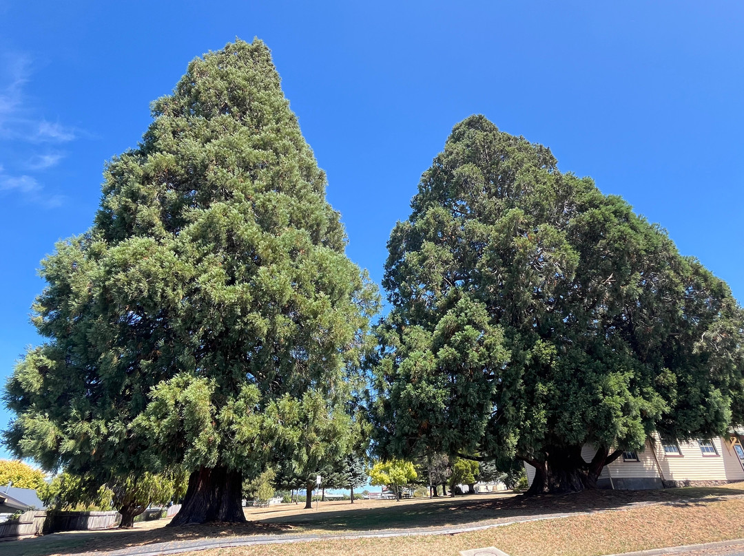 King George V Park-谢菲尔德必去景点