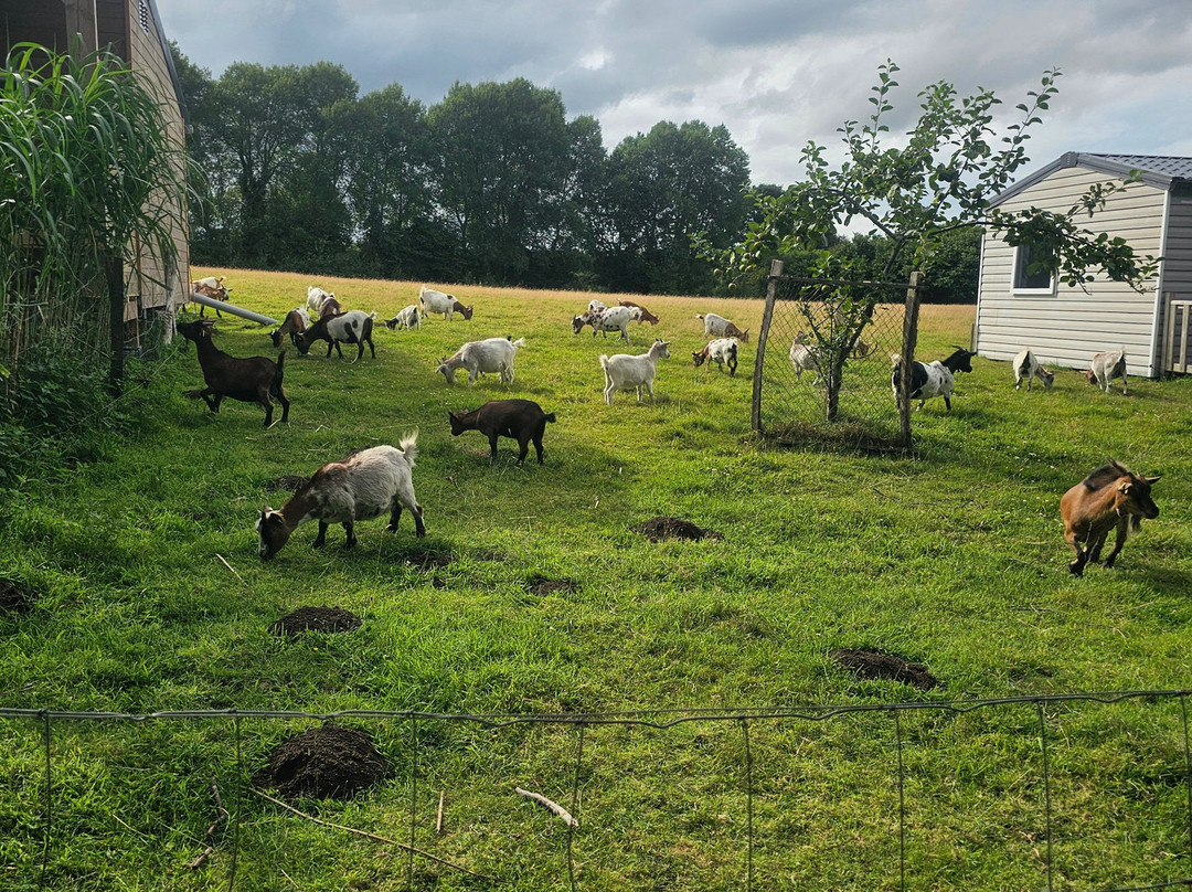 Domaine du Jardin Mod Kozh-Pont-Melvez必去景点