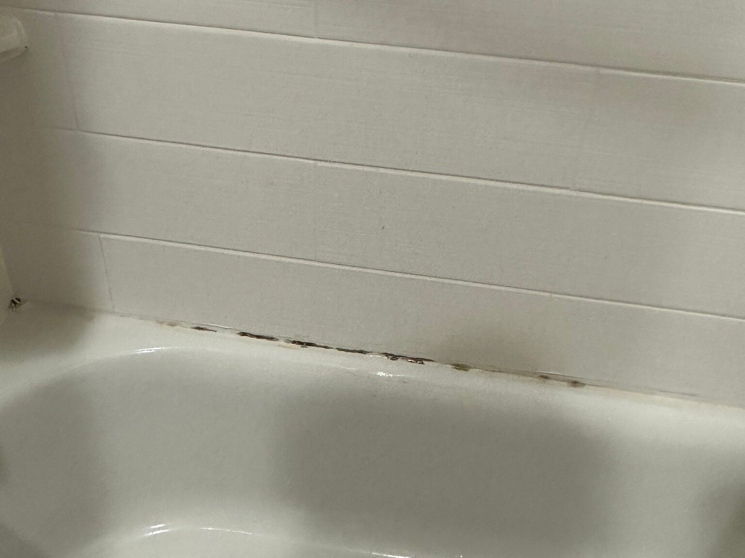 Holiday Inn Express & Suites Ardmore By IHG主图