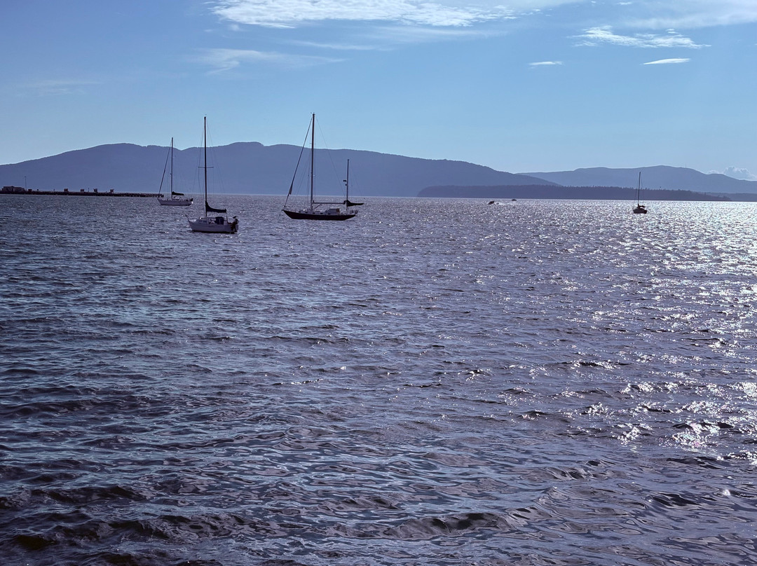 Boulevard Park-贝灵厄姆必去景点