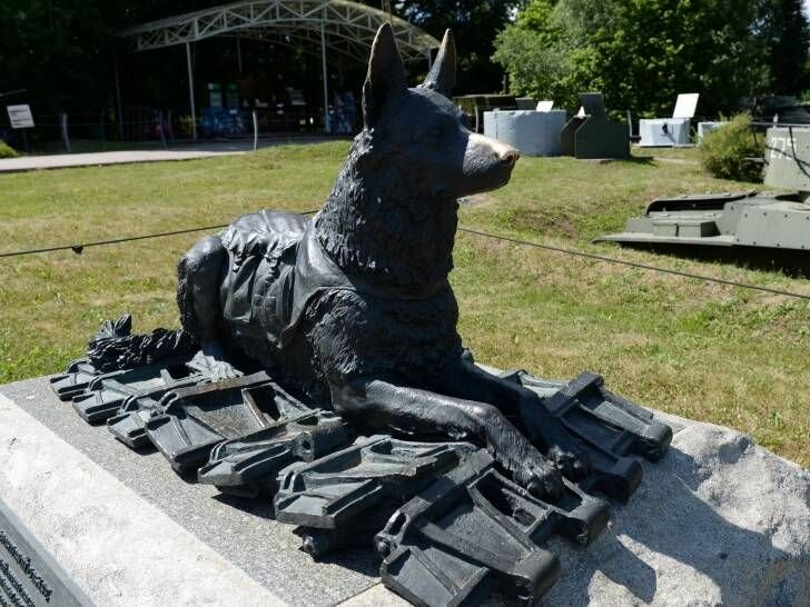 Monument to Dogs-Tank Destroyers-伏尔加格勒必去景点