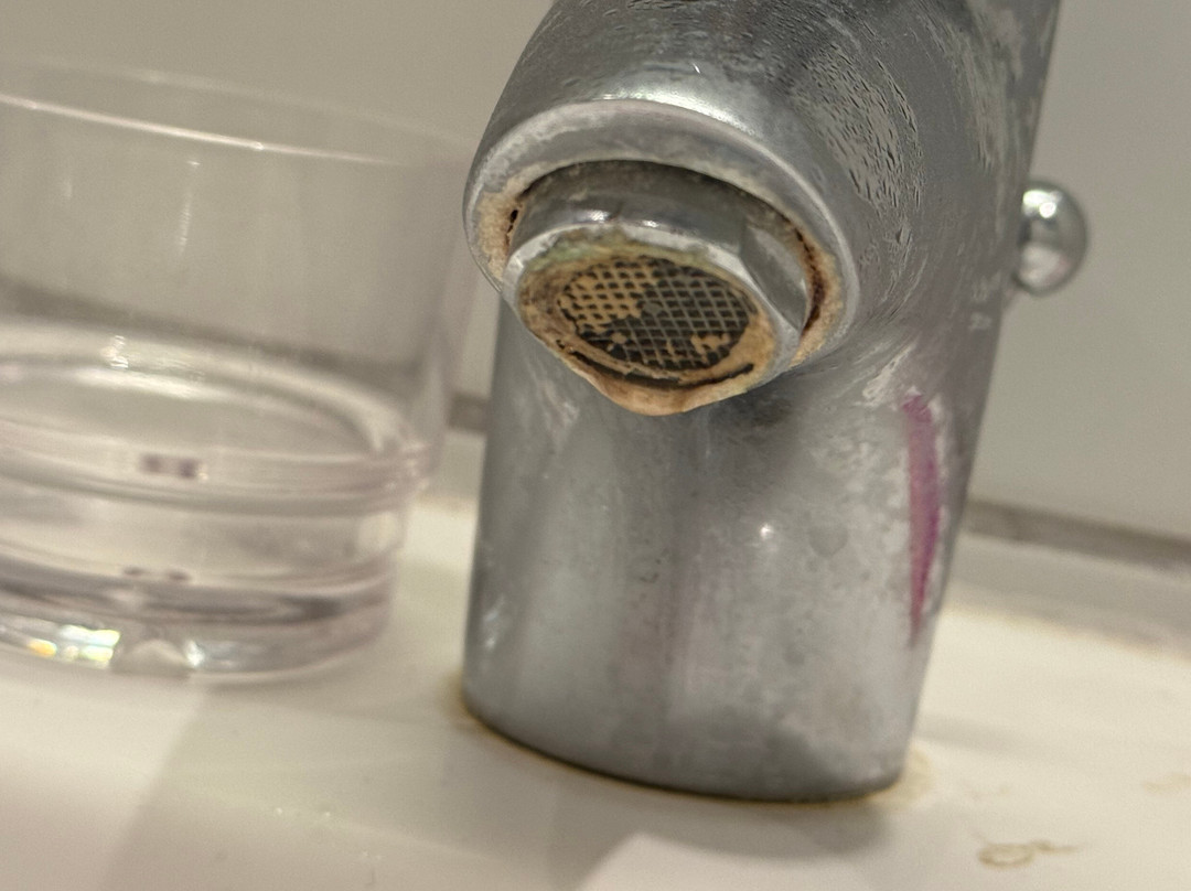 Fuglsoecentret主图