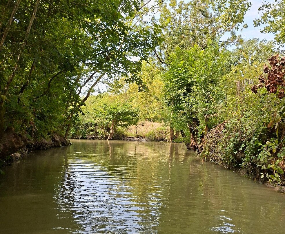 Le Marais Poitevin-Maillezais必去景点