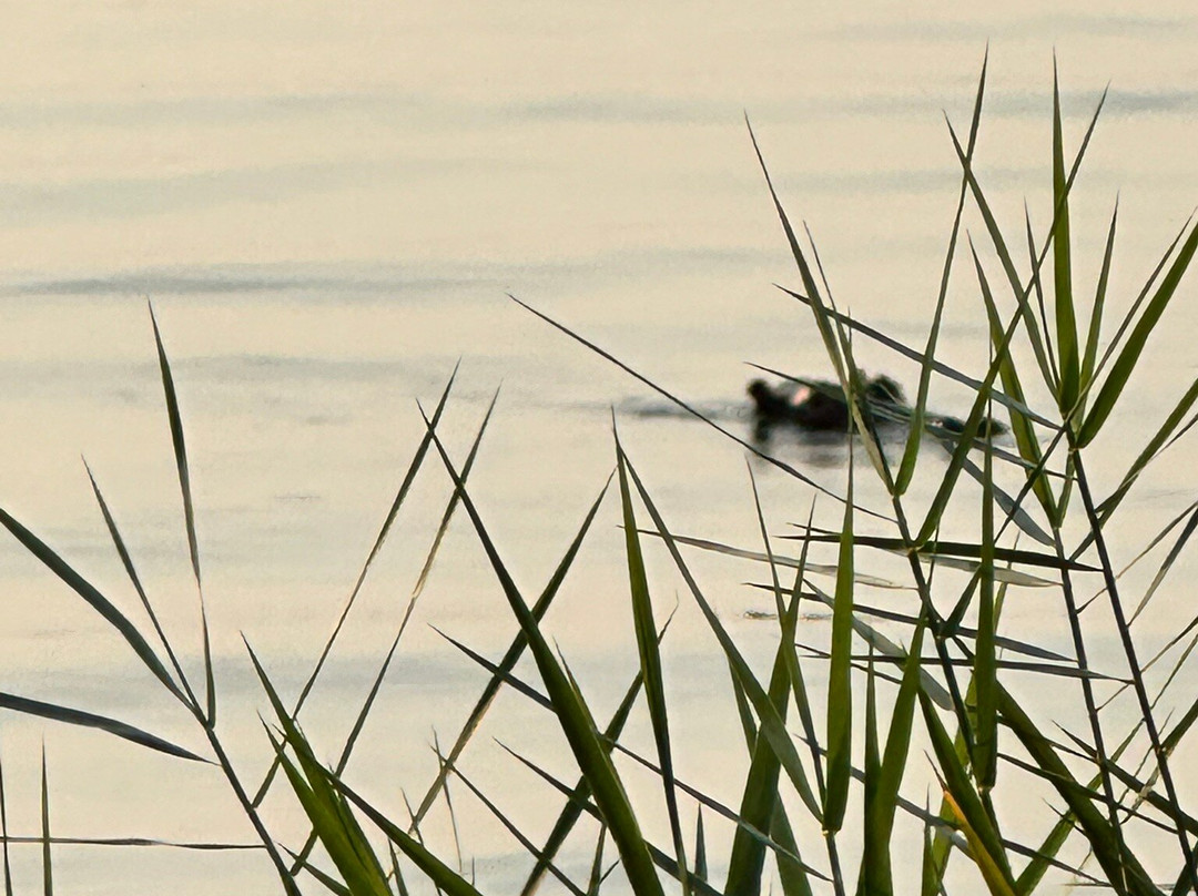 Serenity adventure safaris-吉佳利必去景点