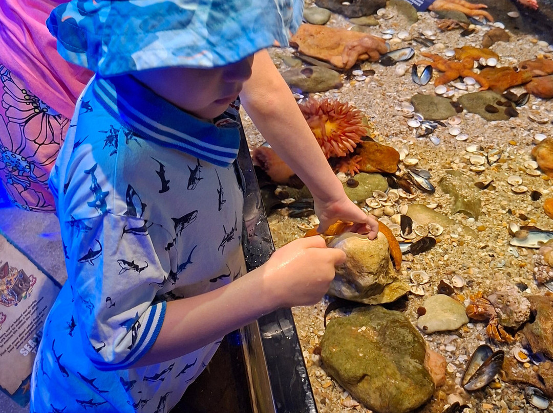 SEA LIFE Hunstanton-Hunstanton必去景点