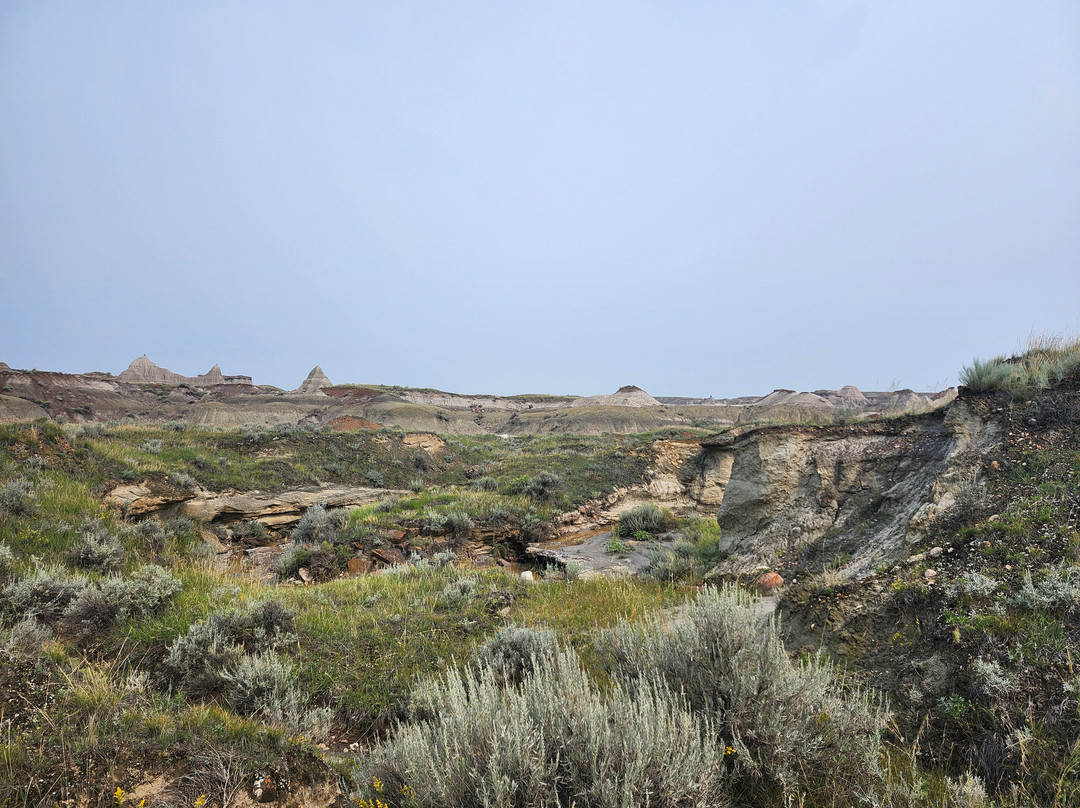 省立恐龙公园-艾伯塔必去景点