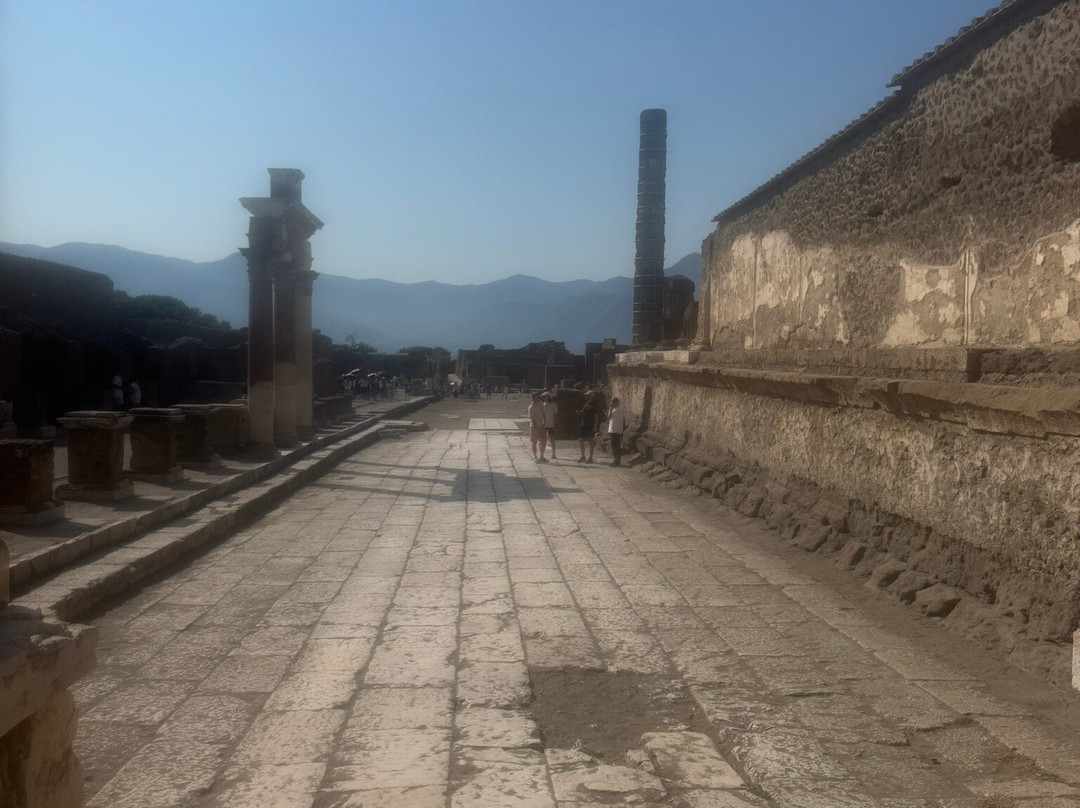 Lucia Pompeii Guide Tours-索伦托必去景点