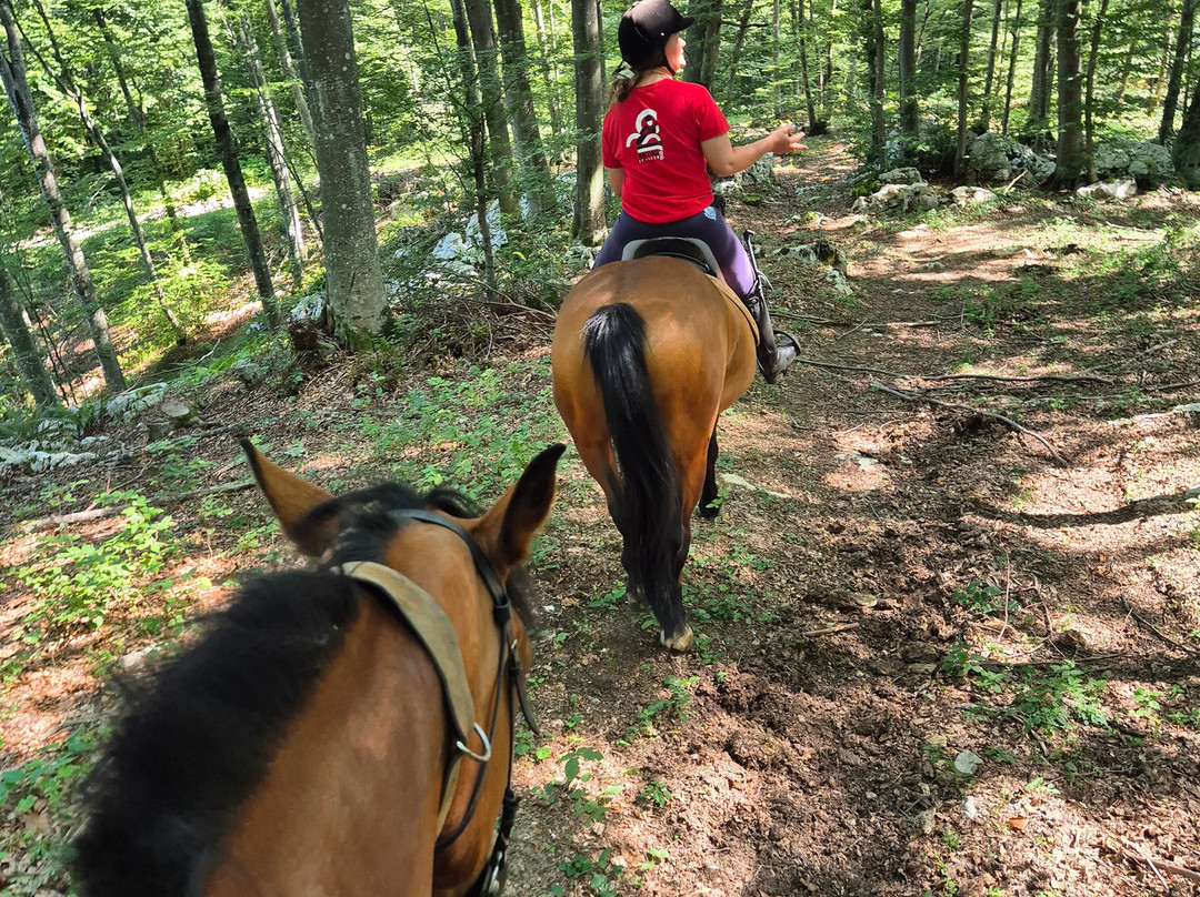 Ranch Equus Igni-拉克维卡必去景点