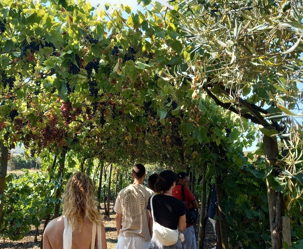 Tenuta San Giaime-Gangi必去景点