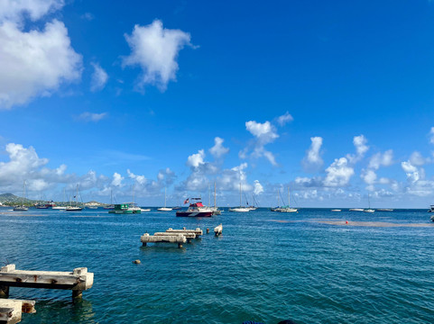 Blue Salt Divers - Home of Dive Experience-Christiansted必去景点