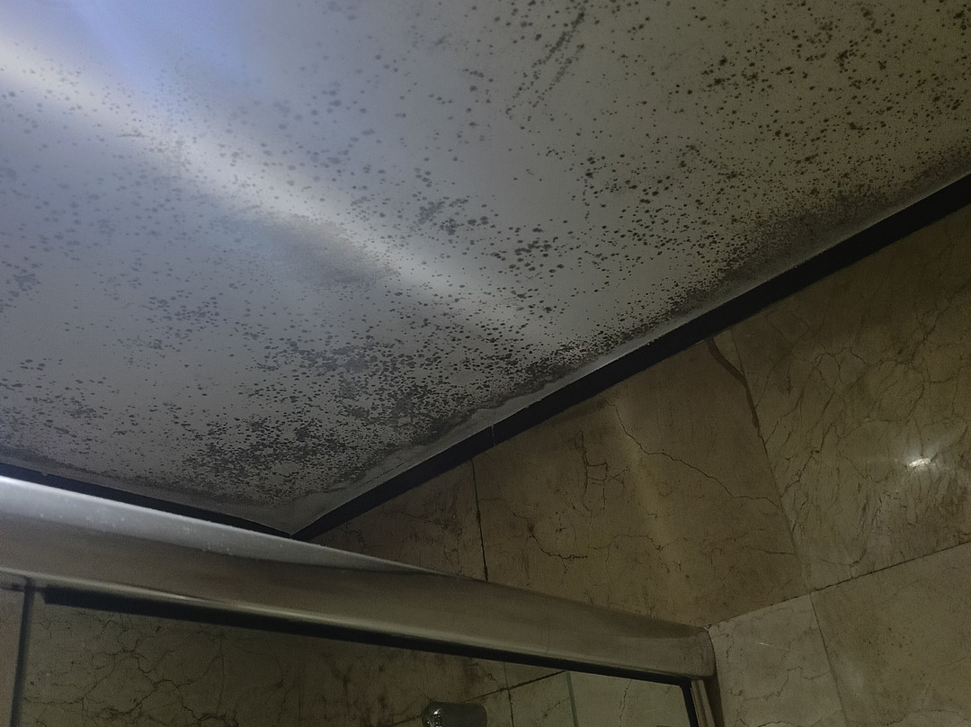 最佳一晚饭店主图