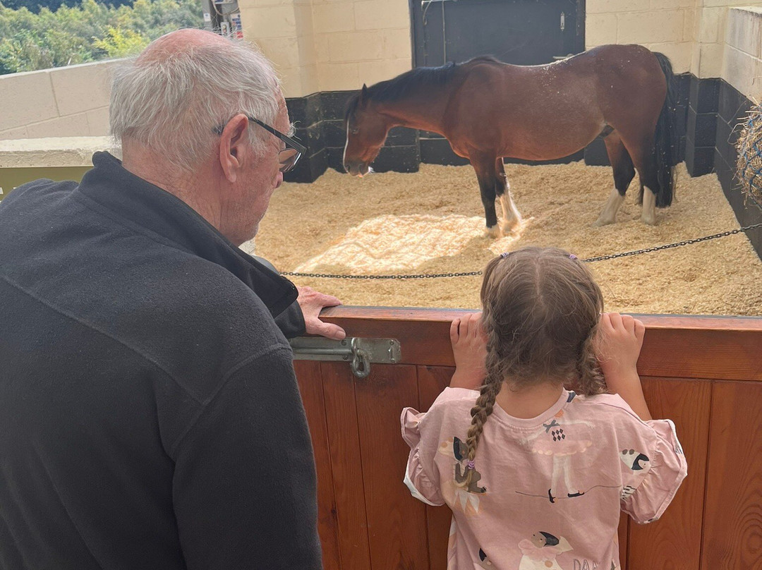 National Coal Mining Museum-韦克菲尔德必去景点