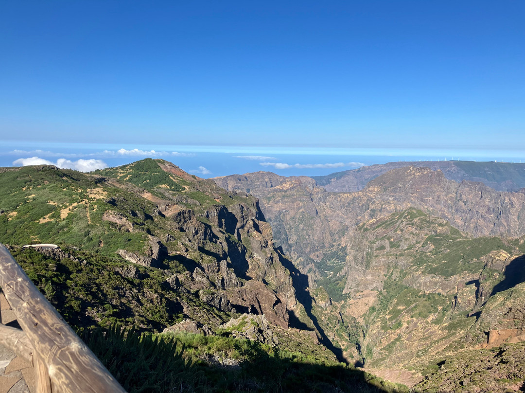 Nature Express Tours-Camara De Lobos必去景点