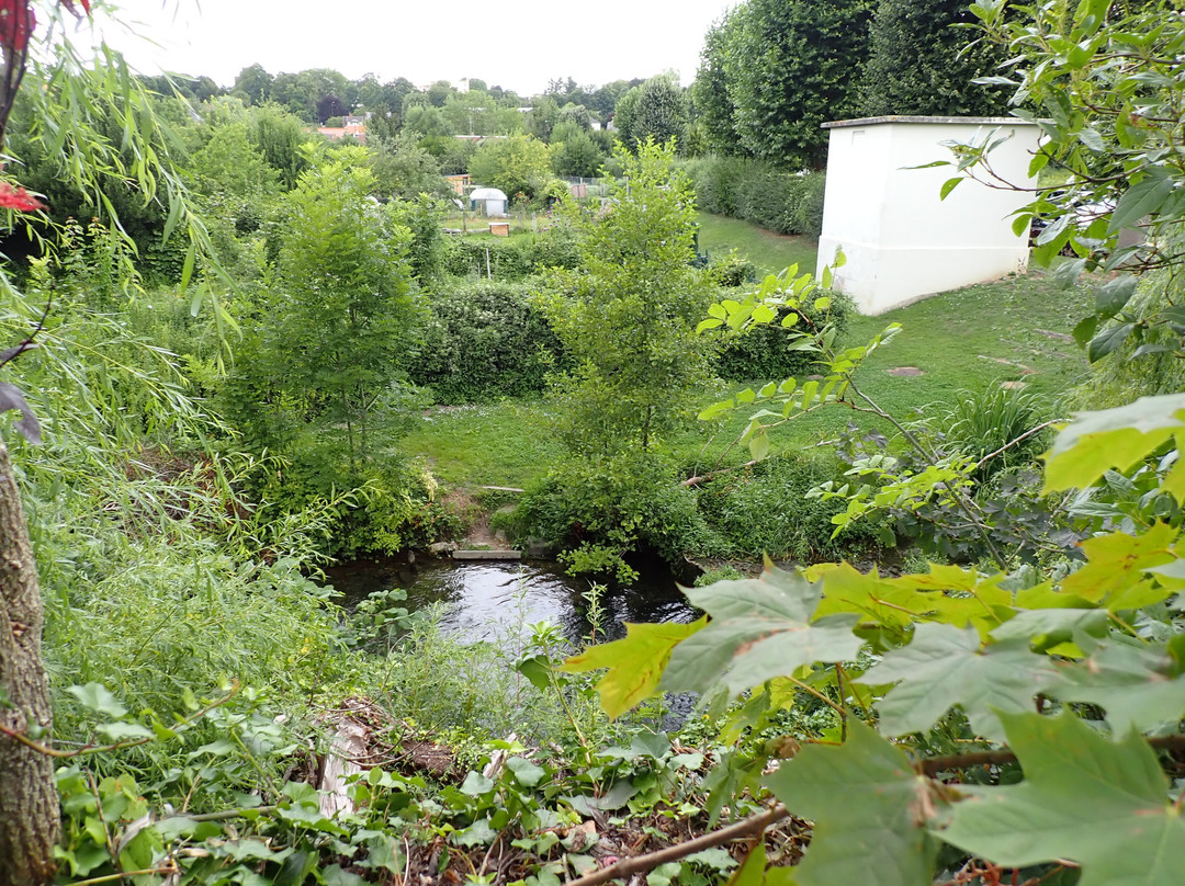 Circuit "Le long des canaux"-尚蒂伊必去景点