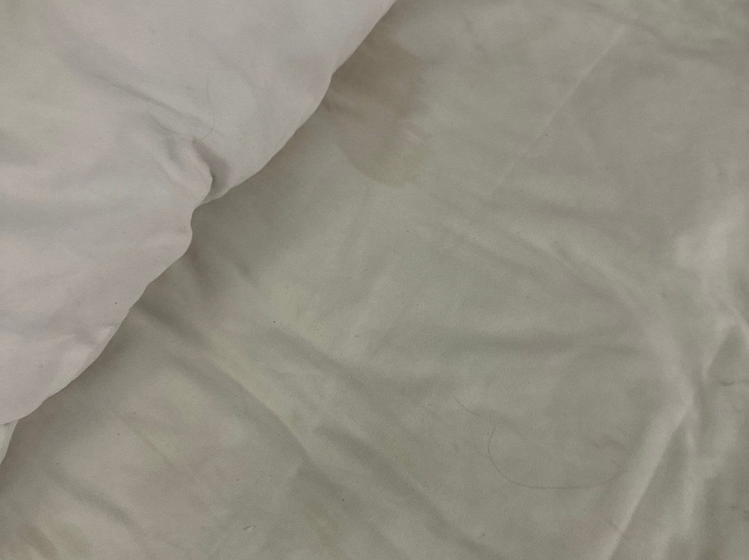 Super 8 by Wyndham Bath Hammondsport Area主图