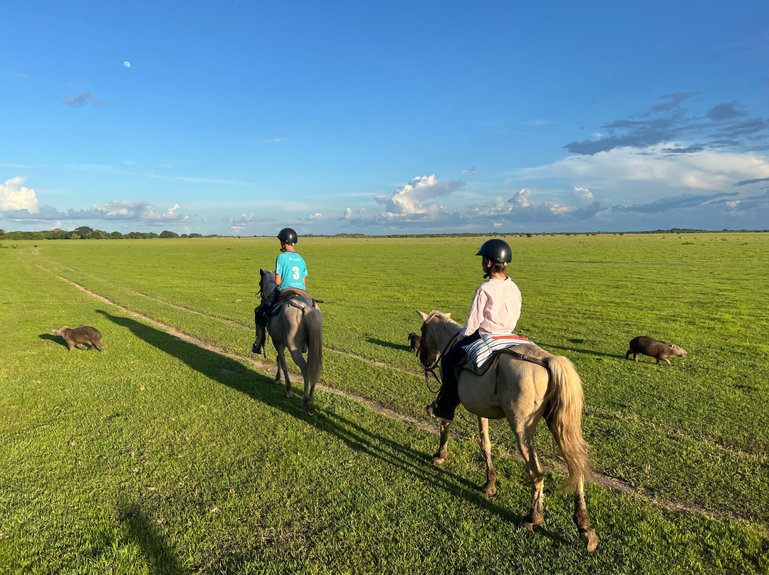 El Encanto de Guanapalo Reserva Natural-San Luis de Palenque必去景点