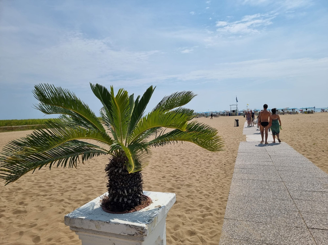 Pachuka Beach Club-利多必去景点