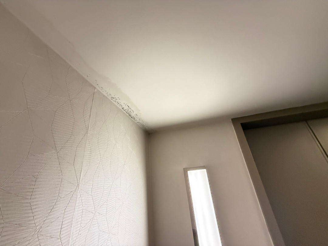 Sheraton Suites Chicago Elk Grove主图