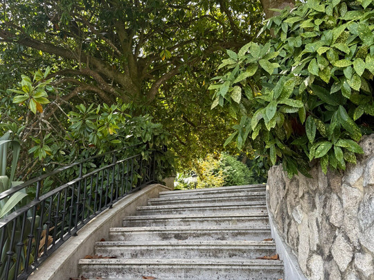 Palácio e Parque Biester-辛特拉必去景点