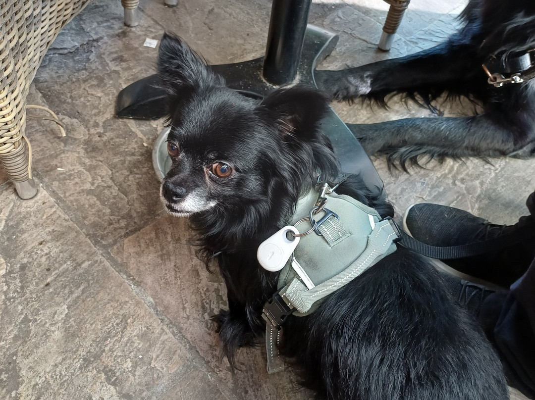 格林莱恩酒店主图