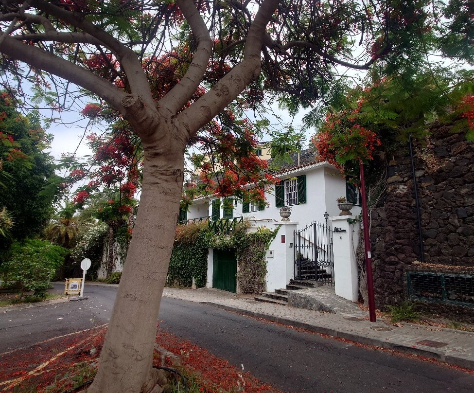 Parque Taoro-德拉克鲁兹索尔港必去景点