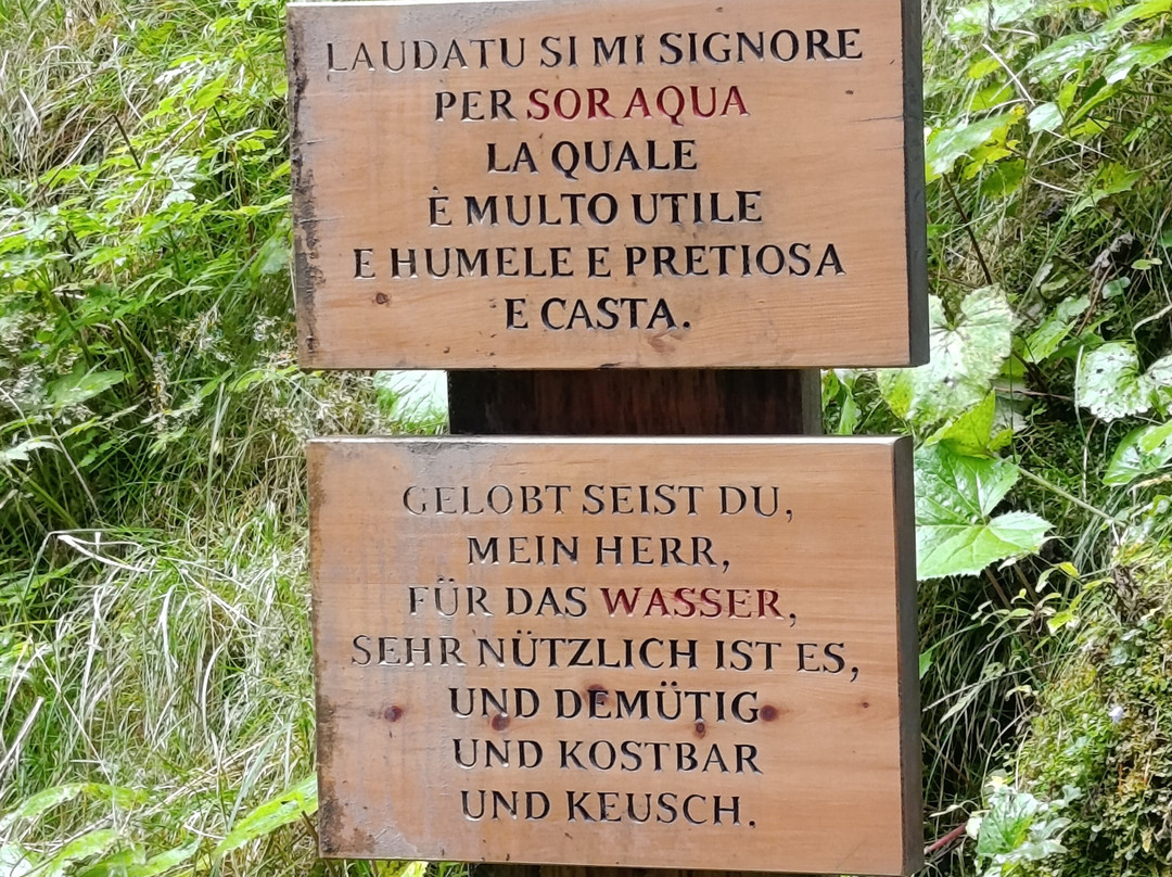 Hotel Steinpent主图