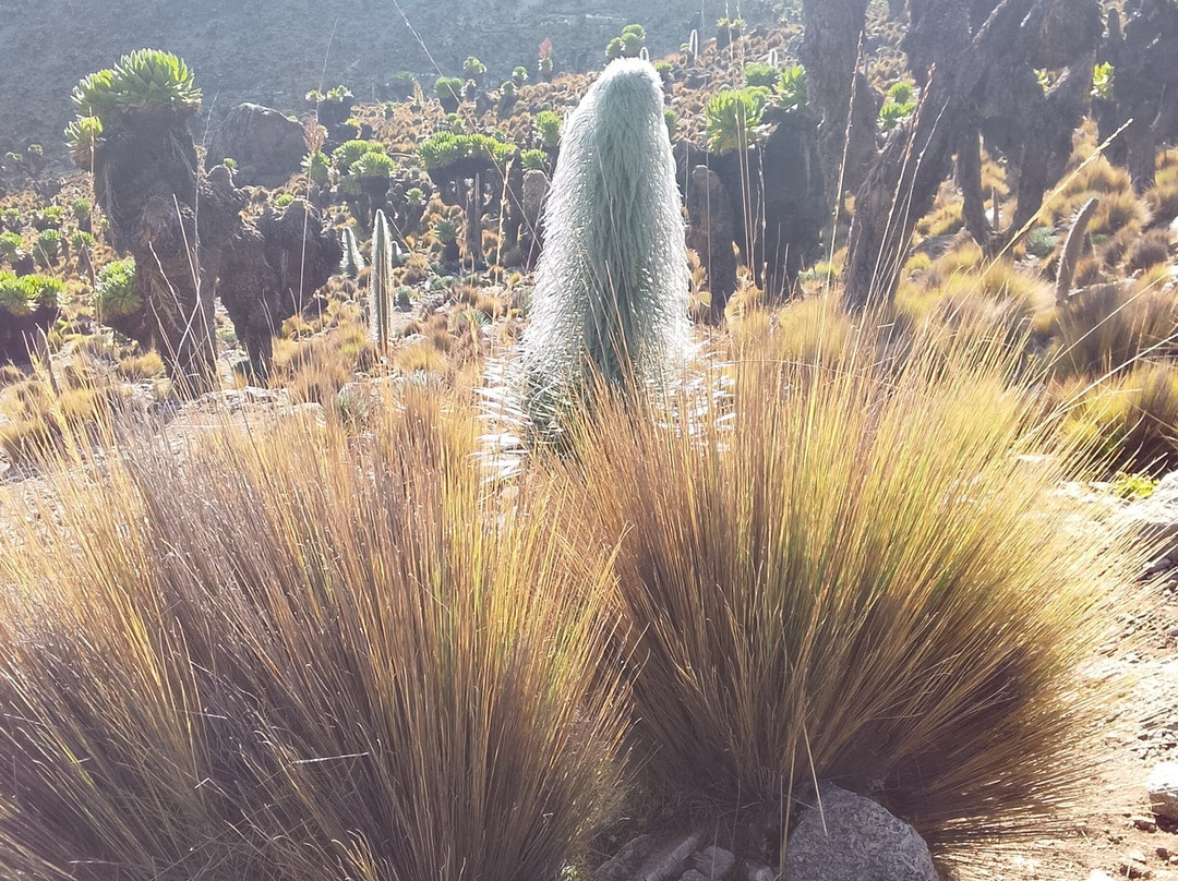 Gracious Trekking Expeditions-南由基必去景点